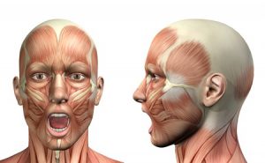 Leia mais sobre o artigo Fisioterapia para Disfunção Temporomandibular – DTM